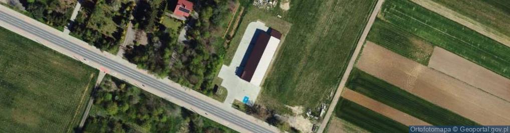 Zdjęcie satelitarne Dino