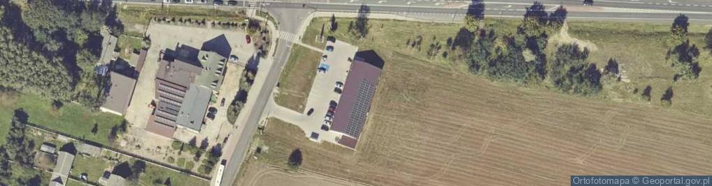 Zdjęcie satelitarne Dino