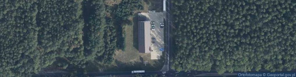 Zdjęcie satelitarne Dino