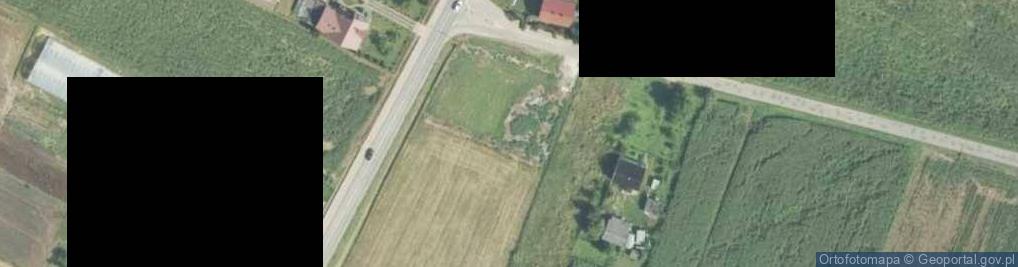 Zdjęcie satelitarne Dino