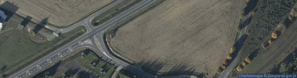 Zdjęcie satelitarne Dino