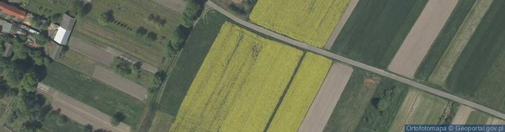 Zdjęcie satelitarne Dino