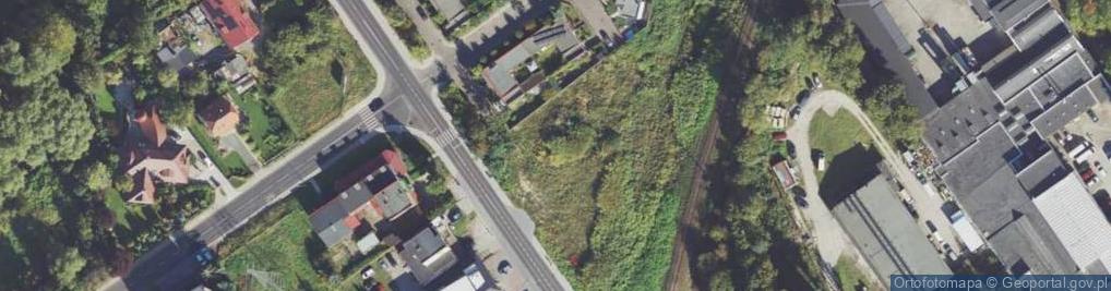 Zdjęcie satelitarne Dino