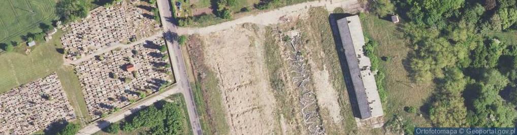 Zdjęcie satelitarne Dino