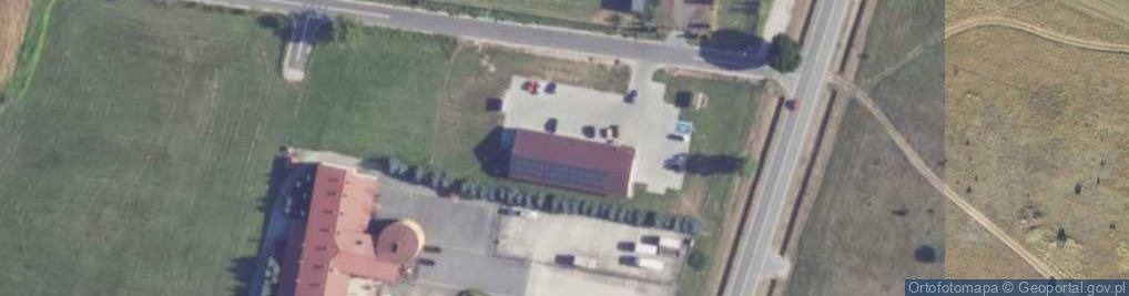 Zdjęcie satelitarne Dino