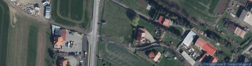 Zdjęcie satelitarne Dino