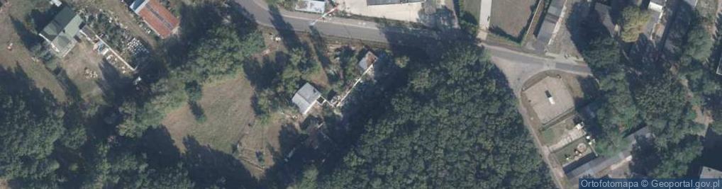 Zdjęcie satelitarne Dino