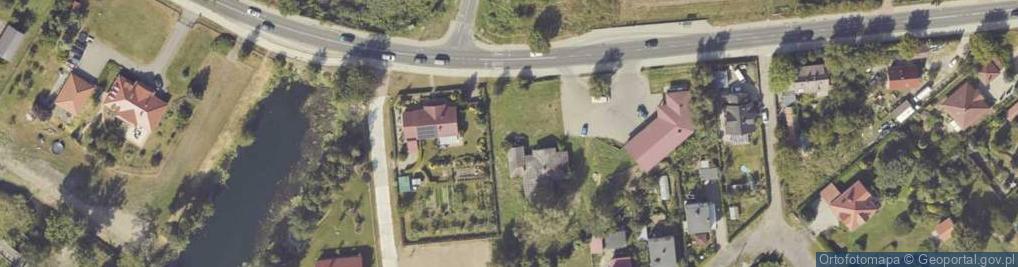 Zdjęcie satelitarne Dino