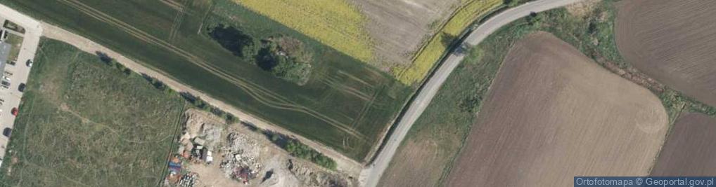 Zdjęcie satelitarne Dino