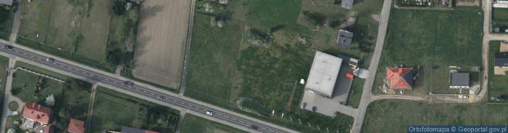 Zdjęcie satelitarne Dino