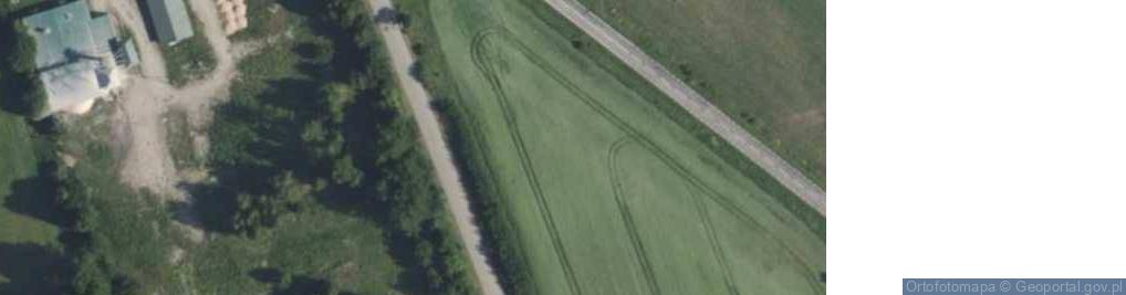 Zdjęcie satelitarne Dino