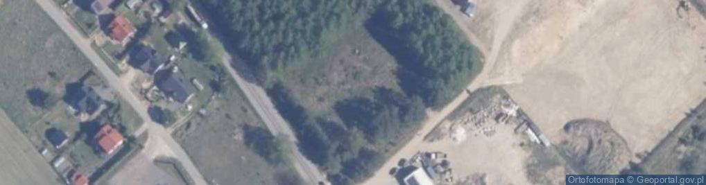 Zdjęcie satelitarne Dino