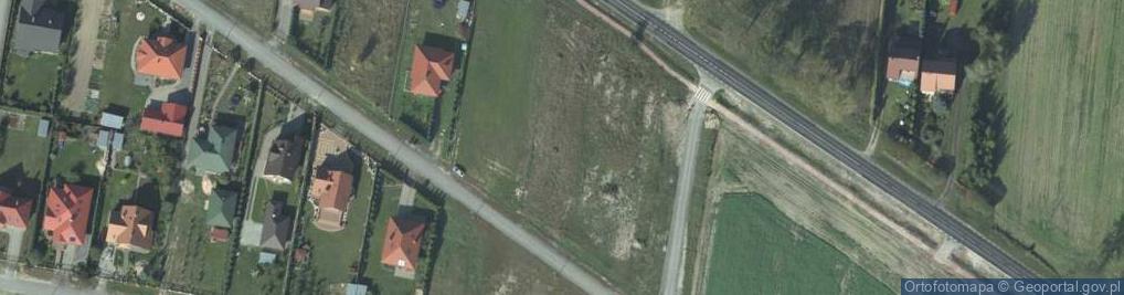 Zdjęcie satelitarne Dino