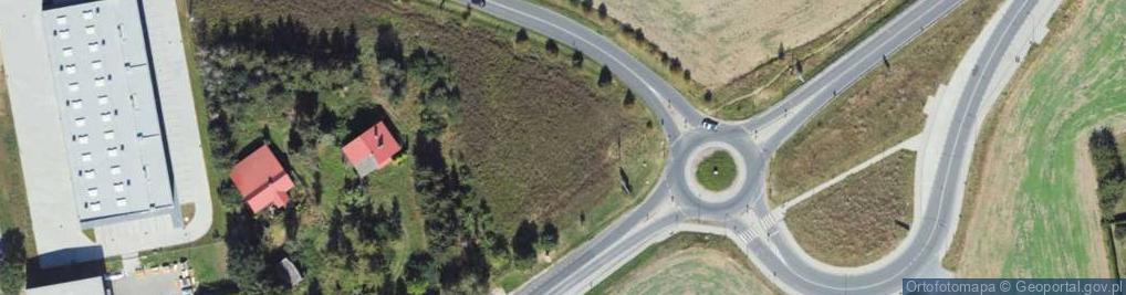 Zdjęcie satelitarne Dino