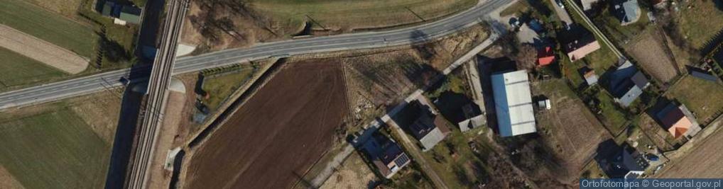 Zdjęcie satelitarne Dino