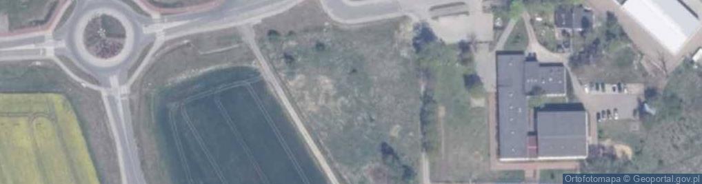 Zdjęcie satelitarne Dino