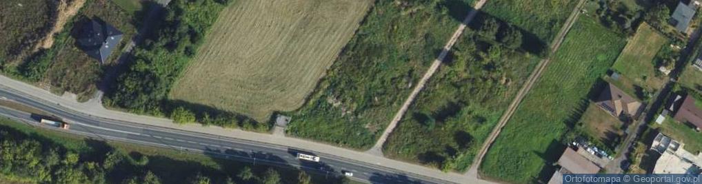 Zdjęcie satelitarne Dino