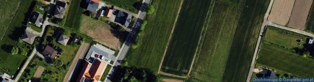 Zdjęcie satelitarne Dino