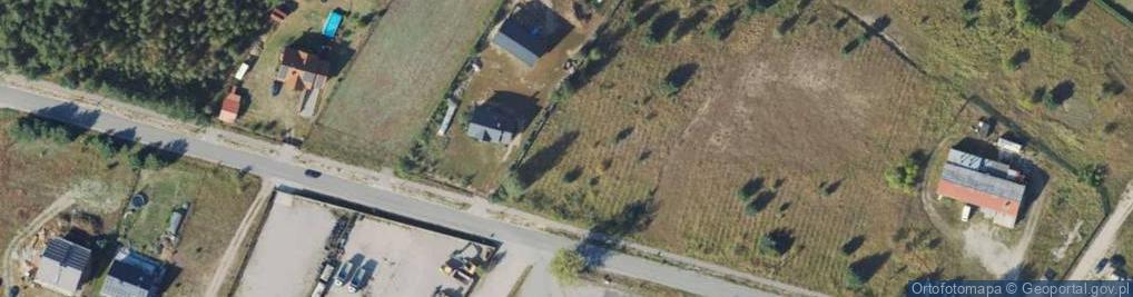 Zdjęcie satelitarne Dino