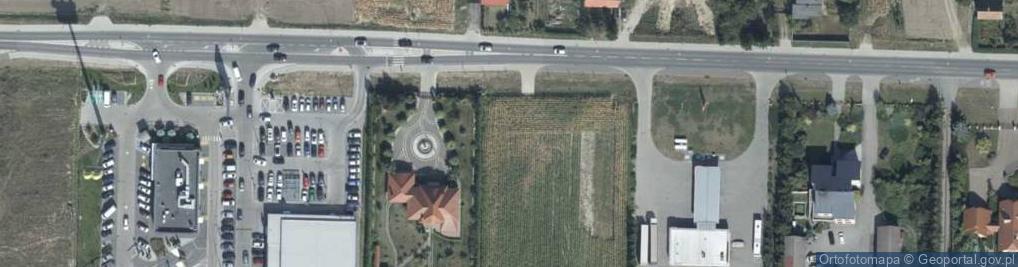 Zdjęcie satelitarne Dino