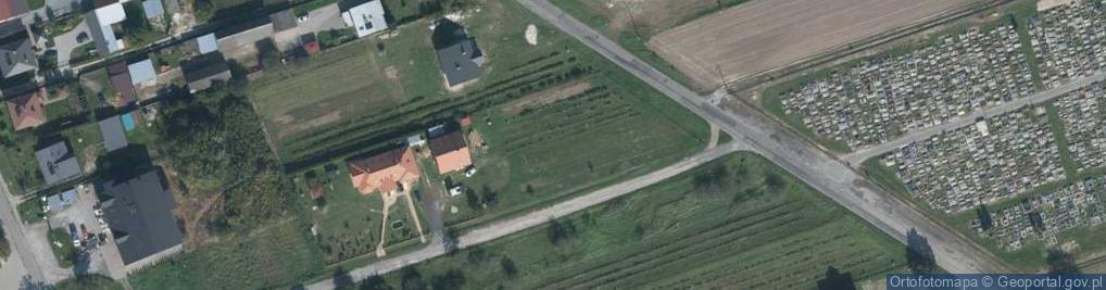 Zdjęcie satelitarne Dino