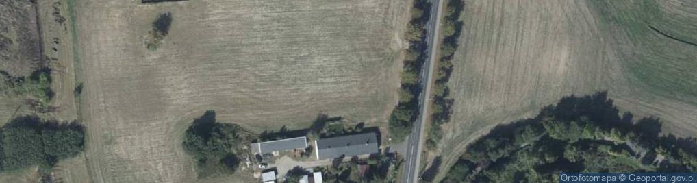 Zdjęcie satelitarne Dino