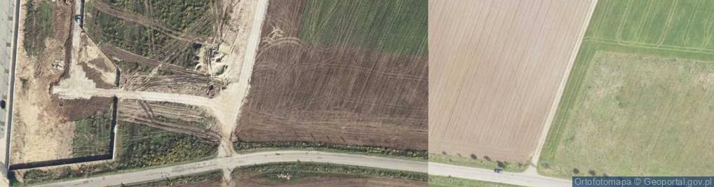 Zdjęcie satelitarne Dino