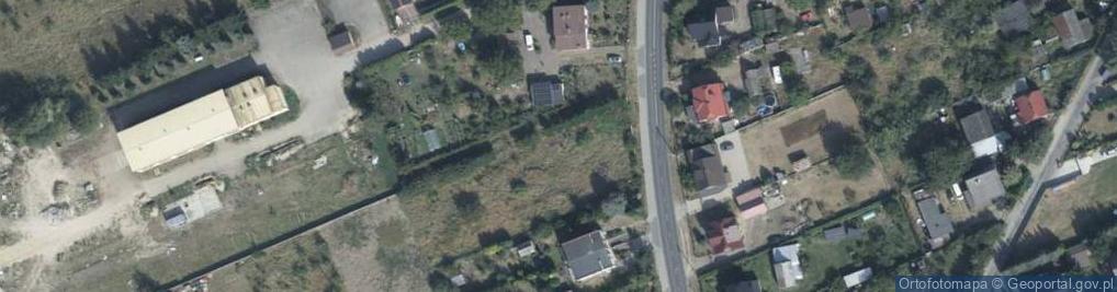 Zdjęcie satelitarne Dino