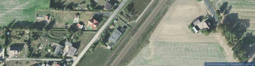 Zdjęcie satelitarne Dąbrowa
