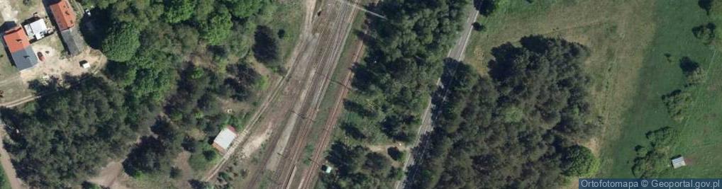 Zdjęcie satelitarne Dolna Odra
