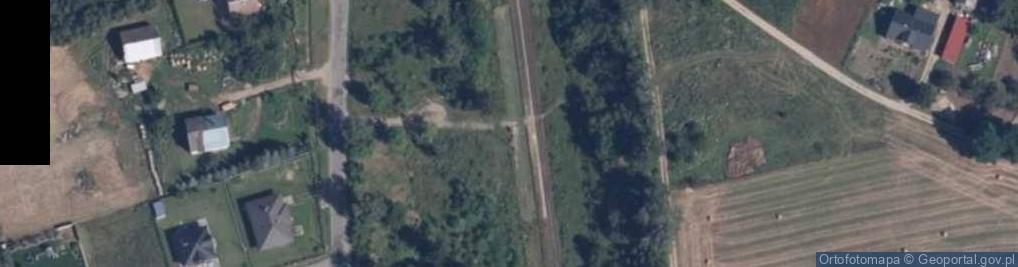 Zdjęcie satelitarne Gozdowo