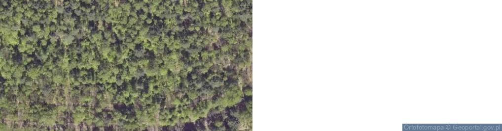 Zdjęcie satelitarne Lasowice Zalew