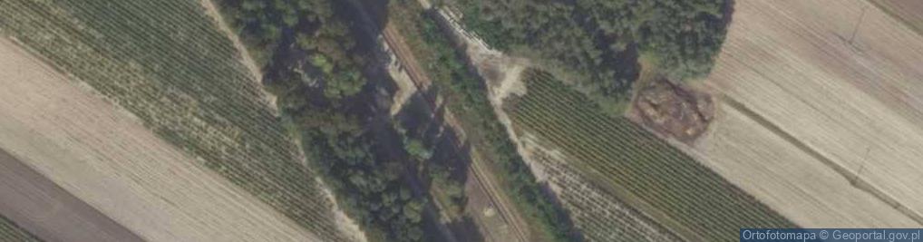 Zdjęcie satelitarne Wroniawy