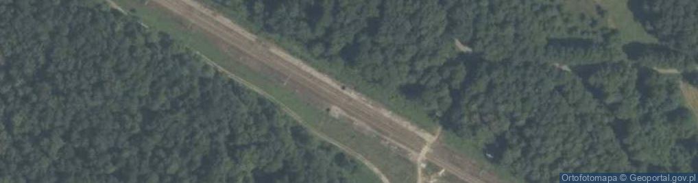 Zdjęcie satelitarne Zygmuntów