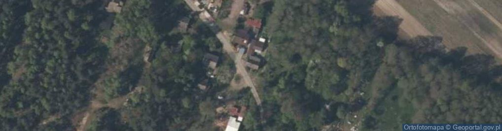 Zdjęcie satelitarne W Miejskiej Kniei Katarzyna Mikulska