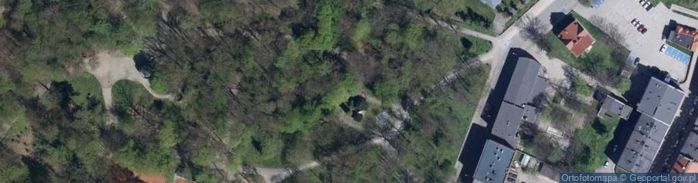 Zdjęcie satelitarne Fontanna i pomnik