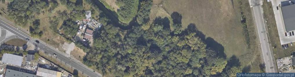 Zdjęcie satelitarne Bunkier