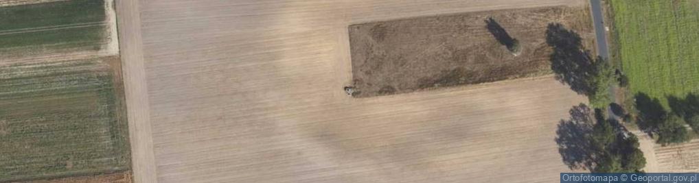 Zdjęcie satelitarne Bunkier