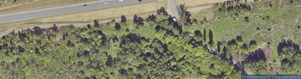 Zdjęcie satelitarne Einmannbunker
