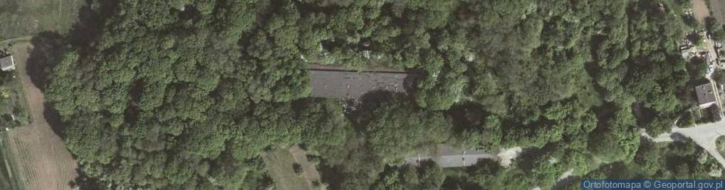 Zdjęcie satelitarne Fort 49a Dłubnia