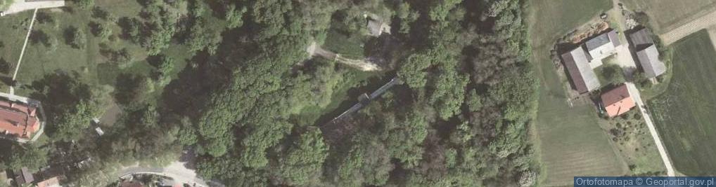 Zdjęcie satelitarne Fort 50 1/2 O Kosocice (Barycz)