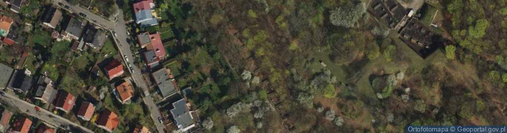 Zdjęcie satelitarne Fort IX