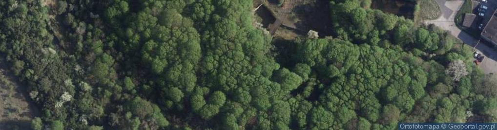 Zdjęcie satelitarne Fort XI Twierdzy Toruń im. Stefana Batorego