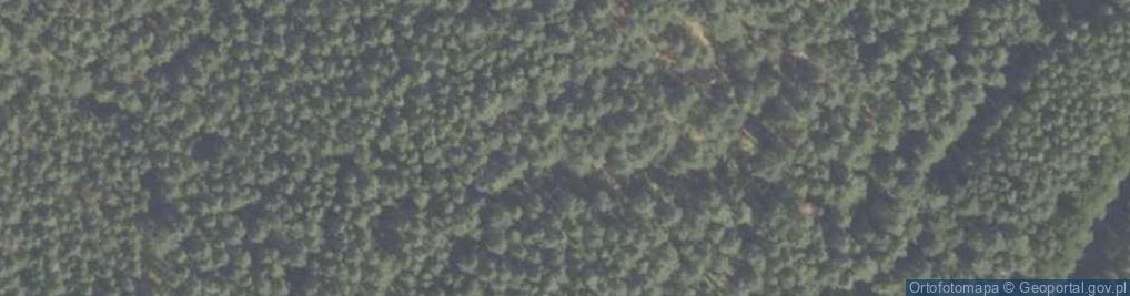 Zdjęcie satelitarne Fortyfikacja