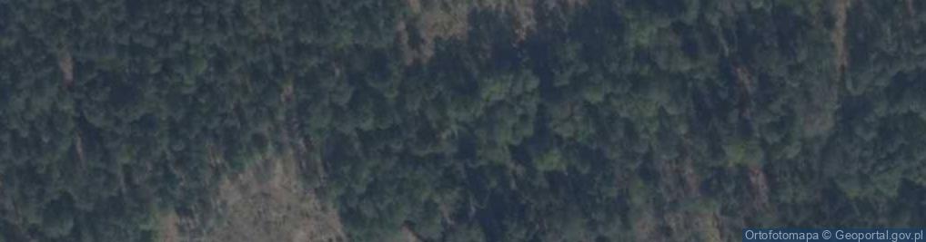 Zdjęcie satelitarne Hochwald