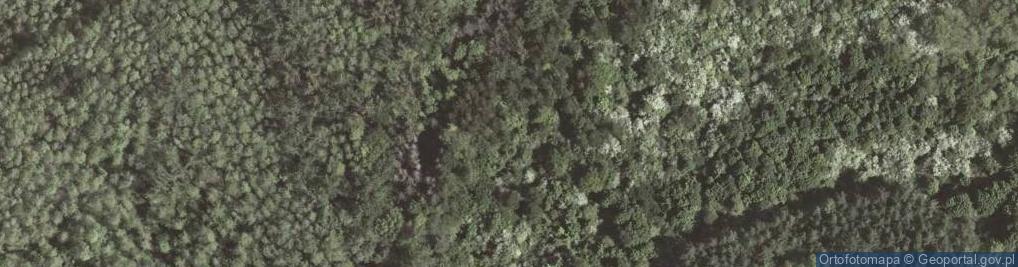 Zdjęcie satelitarne Kawerna Winnica