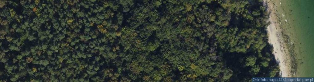 Zdjęcie satelitarne Kępa Redłowska - 11 BAS