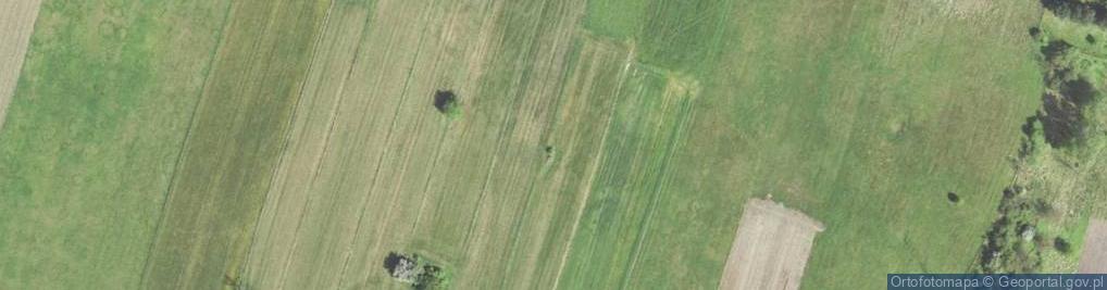 Zdjęcie satelitarne Kochbunker