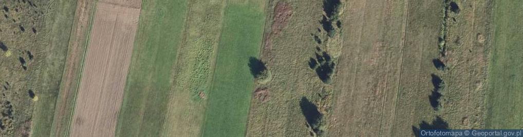 Zdjęcie satelitarne Kochbunker
