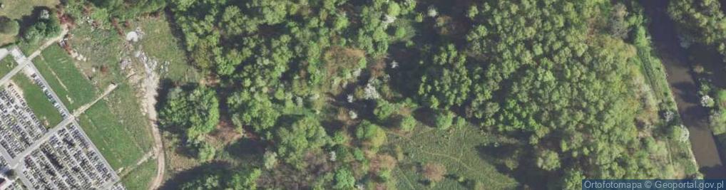 Zdjęcie satelitarne Kochbunker